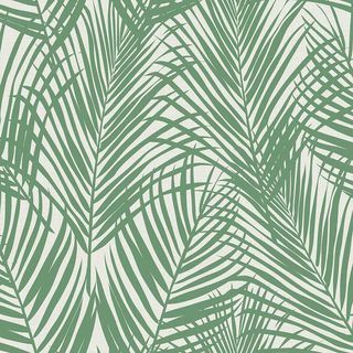 Fifi Green Palm Frond Bakgrunn 