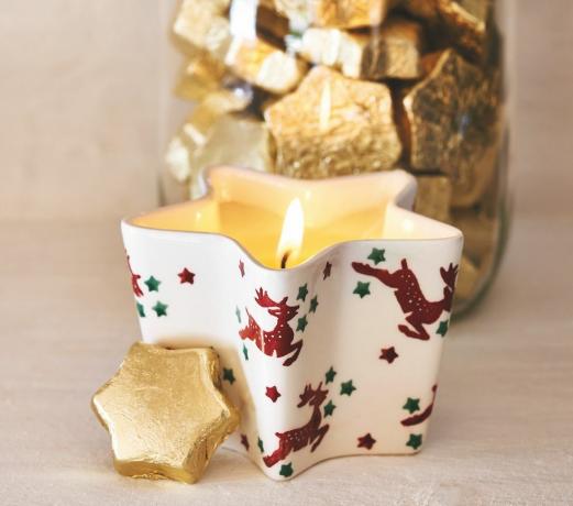 Emma Bridgewater julelysbilde