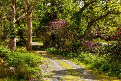 glengarriff castle til salgs i Irland