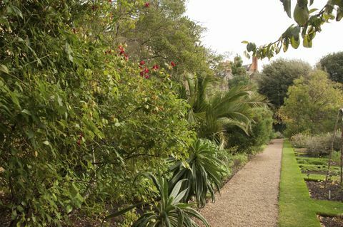 Chelsea Physic Garden, London, England