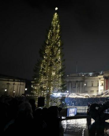 trafalgar square juletre tent