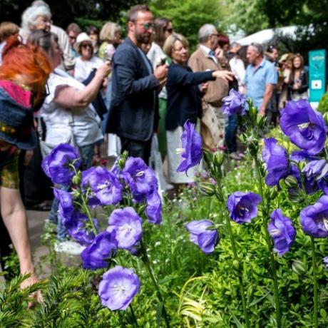 folkemengder av besøkende ser hagedesign på Rhs Chelsea Flower Show åpner i London, England 22. mai 2019 foto av Dominika Zarzyckanurphoto