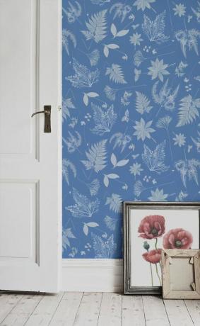 Anna Atkins Cyanotype Floral Leaf Veggmaleri, £ 25 per kvadratmeter via Murals Wallpaper