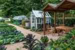 RHS Hampton: Hvordan vokse din egen No Dig Allotment Garden