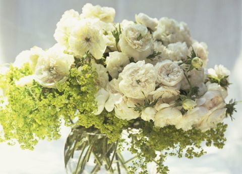hvite-blomster-i-glass-vase