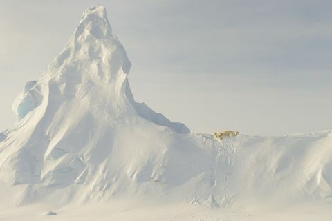 årets nasjonale geografiske reisefotograf