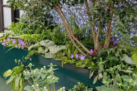 chelsea flower show 2021 sky Sanctuary balkonghage designet av michael coley