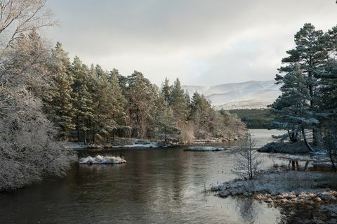 Innsjø blant trær delvis dekket av snø