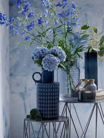 Indigo blå blomster, vase og bakgrunn