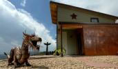 Colorado Mountain Tiny Home