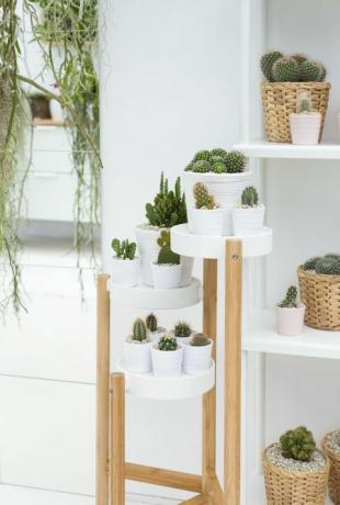 IKEA og Indoor Garden Design, co-opprettet en skjerm på RHS Chelsea Flower Show 2017