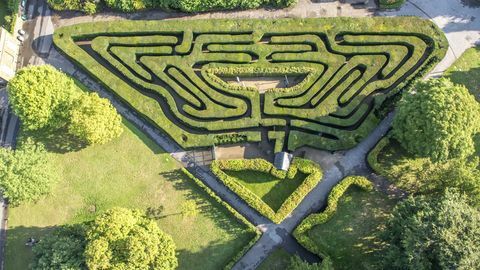 luftfoto av labyrinten på hamptons palass som viser en del av villmarken