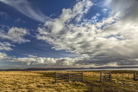 Gjerde og skyer i sen ettermiddagslys, rullesteinøya, Falklandsøyene