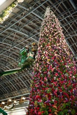 47ft floral juletre avduket på St Pancras internasjonale stasjon, London.