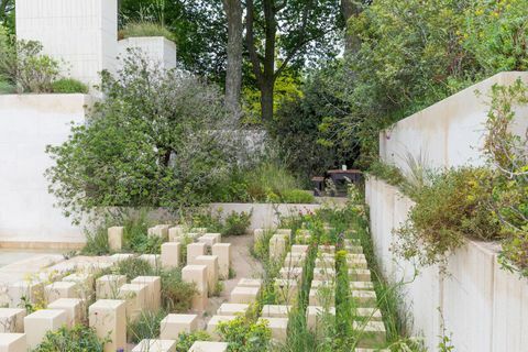 M&G Garden. Designet av: James Basson. Sponset av: M&G Investments. RHS Chelsea Flower Show 2017.