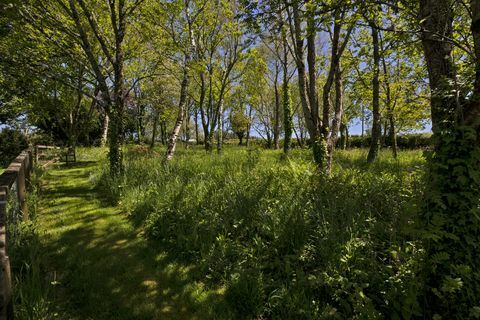 historisk hytte til salgs i dartmoor nasjonalpark