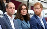 Kate Middleton prøver å redde William og Harrys forhold