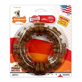 Nylabone Power Chew Textured Dog Chew Ring Toy Flavor Medley Flavor X-Large / Souper - 50+ lbs.
