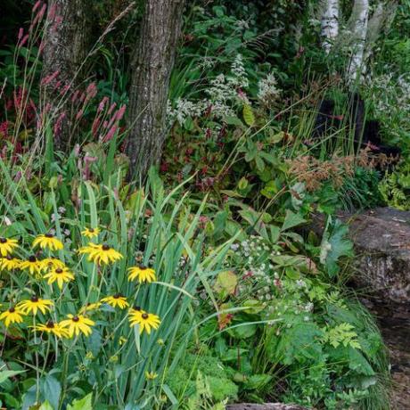 chelsea flower show 2021 People's Choice-prisvinnere