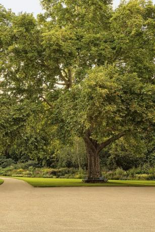 buckingham palace gardens avslørt i en ny bok