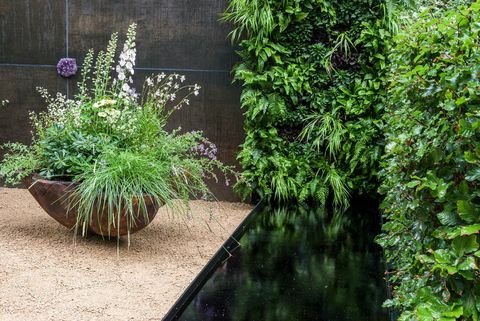 chelsea flower show 2021 container gardens