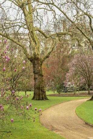 buckingham palace gardens avslørt i en ny bok