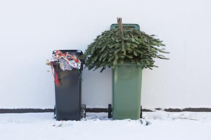 resirkuler juletreet ditt