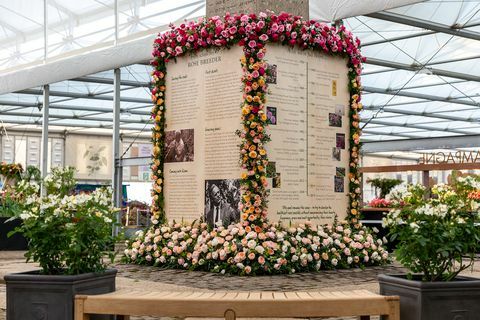 David Austin Roses-monumentet, Chelsea Flower Show 2019