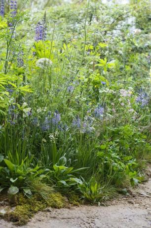 Velkommen til Yorkshire garden på Chelsea Flower Show 2019