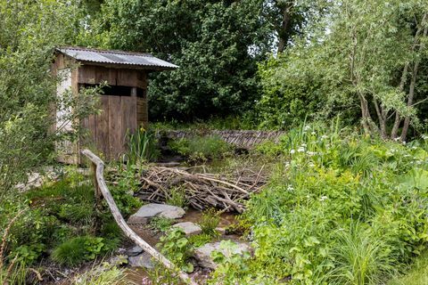 et rewilding britisk landskap designet av lulu urquhart og adam hunt sponset av prosjekt som gir tilbake til støtte for rewilding britain show garden rhs chelsea flower show 2022