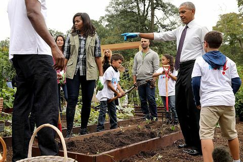 USAs første dame Michelle Obama og president Barack Obama er vertskap for en begivenhet for å høste White House Kitchen Garden på South Lawn of the White House 6. oktober 2016 i Washington, DC
