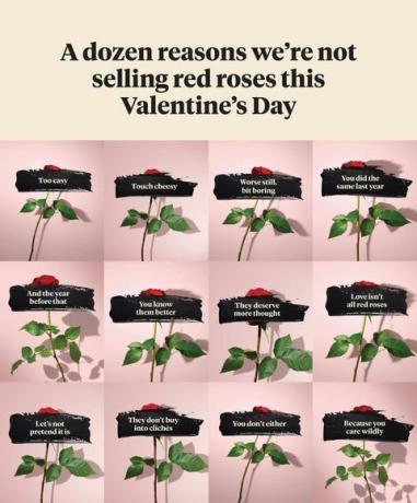 blomstre vill valentinsdag kampanje