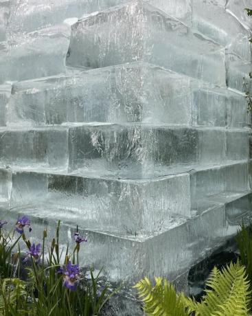 chelsea flower show 2022 the plantman's ice garden sanctuary garden